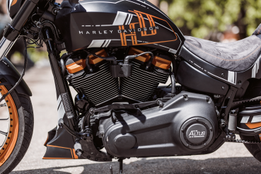 SINNER BUGSPOILER FÜR MILWAUKEE EIGHT SOFTAIL